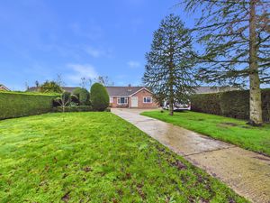 Main- click for photo gallery